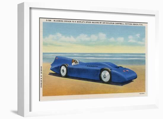 The Bluebird 5-R.H. Le Sesne-Framed Art Print