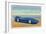 The Bluebird 5-R.H. Le Sesne-Framed Art Print