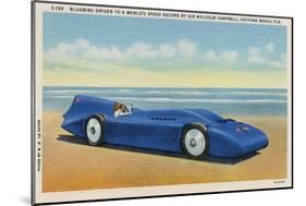 The Bluebird 5-R.H. Le Sesne-Mounted Art Print