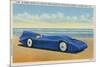 The Bluebird 5-R.H. Le Sesne-Mounted Premium Giclee Print