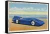 The Bluebird 5-R.H. Le Sesne-Framed Stretched Canvas