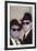 THE BLUES BROTHERS, 1980 directed by JOHN LANDIS John Belushi and Dan Aykroyd (photo)-null-Framed Photo