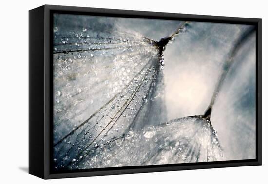 The Blues-Ursula Abresch-Framed Stretched Canvas