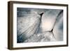 The Blues-Ursula Abresch-Framed Premium Photographic Print