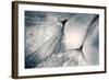 The Blues-Ursula Abresch-Framed Photographic Print