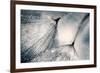 The Blues-Ursula Abresch-Framed Photographic Print