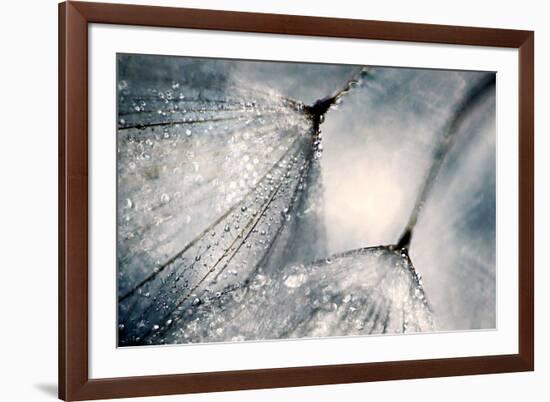 The Blues-Ursula Abresch-Framed Photographic Print