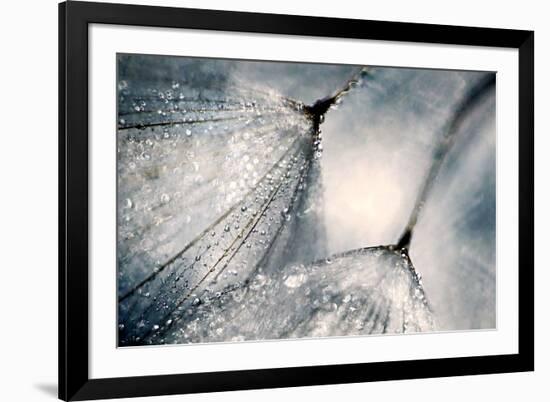 The Blues-Ursula Abresch-Framed Photographic Print