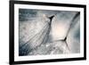 The Blues-Ursula Abresch-Framed Photographic Print