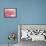 The Blush Awakening-Jason Jarava-Framed Stretched Canvas displayed on a wall
