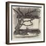 The Boa Constrictor Swallowing the Wrapper, in the Menagerie of the Zoological Society-null-Framed Giclee Print