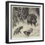The Boar at Bay-null-Framed Giclee Print