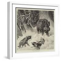 The Boar at Bay-null-Framed Giclee Print