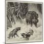 The Boar at Bay-null-Mounted Giclee Print
