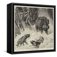 The Boar at Bay-null-Framed Stretched Canvas