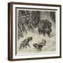 The Boar at Bay-null-Framed Premium Giclee Print