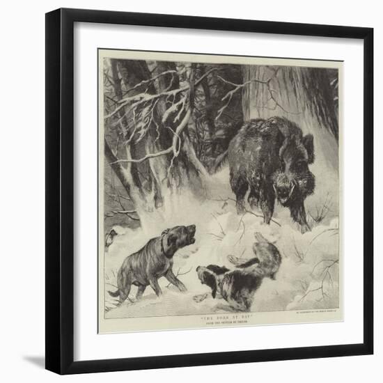 The Boar at Bay-null-Framed Premium Giclee Print