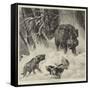 The Boar at Bay-null-Framed Stretched Canvas