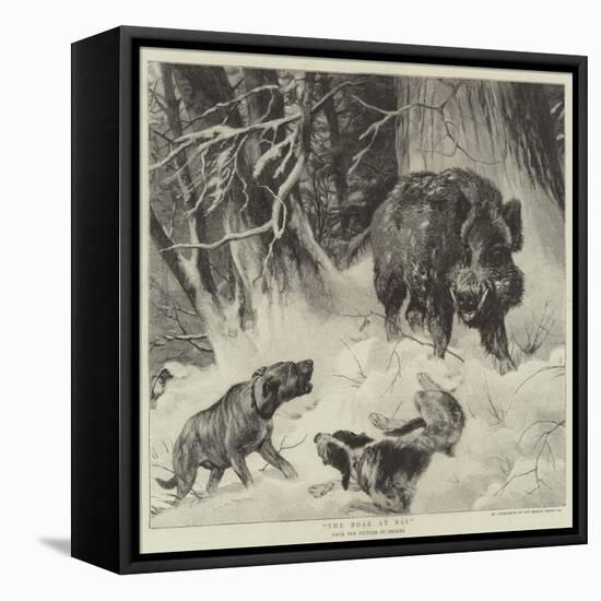 The Boar at Bay-null-Framed Stretched Canvas