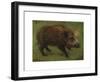 The Boar-Rosa Bonheur-Framed Premium Giclee Print