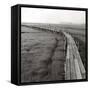 The Boardwalk, Early-Dorothy Kerper Monnelly-Framed Stretched Canvas