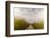 The Boardwalk Through the Tidal Marsh at Mass Audubon's Wellfleet Bay Wildlife Sanctuary-Jerry and Marcy Monkman-Framed Photographic Print