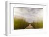 The Boardwalk Through the Tidal Marsh at Mass Audubon's Wellfleet Bay Wildlife Sanctuary-Jerry and Marcy Monkman-Framed Photographic Print