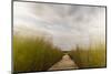 The Boardwalk Through the Tidal Marsh at Mass Audubon's Wellfleet Bay Wildlife Sanctuary-Jerry and Marcy Monkman-Mounted Photographic Print