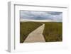 The Boardwalk Through the Tidal Marsh at Mass Audubon's Wellfleet Bay Wildlife Sanctuary-Jerry and Marcy Monkman-Framed Photographic Print