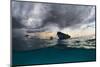 The Boat-Andrey Narchuk-Mounted Photographic Print