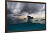 The Boat-Andrey Narchuk-Framed Photographic Print