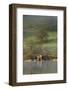 The Boathouse, Ullswater, Lake District National Park, Cumbria, England, United Kingdom, Europe-James Emmerson-Framed Photographic Print