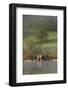 The Boathouse, Ullswater, Lake District National Park, Cumbria, England, United Kingdom, Europe-James Emmerson-Framed Photographic Print