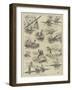 The Boating Fever-null-Framed Giclee Print