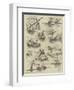 The Boating Fever-null-Framed Giclee Print