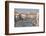 The boats of the historical procession for the historical Regatta on the Grand Canal of Venice-Carlo Morucchio-Framed Photographic Print