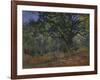 The Bodmer Oak, Fontainebleau Forest, 1865-Claude Monet-Framed Giclee Print