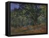 The Bodmer Oak, Fontainebleau Forest, 1865-Claude Monet-Framed Stretched Canvas