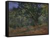 The Bodmer Oak, Fontainebleau Forest, 1865-Claude Monet-Framed Stretched Canvas