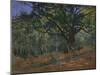 The Bodmer Oak, Fontainebleau Forest, 1865-Claude Monet-Mounted Giclee Print