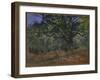 The Bodmer Oak, Fontainebleau Forest, 1865-null-Framed Giclee Print