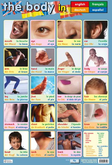 Poster, , large