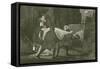 The Body of Amabel Carried to the Dead Cart-John Franklin-Framed Stretched Canvas