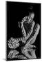 The Body of Nude Woman with Black and White Pattern and its Reflection. Black-And-White Photo Creat-master1305-Mounted Photographic Print