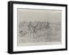 The Boer Ambuscade at Koorn Spruit-Melton Prior-Framed Premium Giclee Print