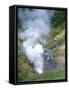 The Bolshoi / Greater Geyser Erupting, Geyser Valley, Kronotsky Zapovednik, Russia-Igor Shpilenok-Framed Stretched Canvas