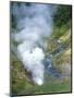 The Bolshoi / Greater Geyser Erupting, Geyser Valley, Kronotsky Zapovednik, Russia-Igor Shpilenok-Mounted Premium Photographic Print