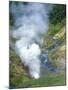 The Bolshoi / Greater Geyser Erupting, Geyser Valley, Kronotsky Zapovednik, Russia-Igor Shpilenok-Mounted Photographic Print