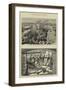 The Bombardment of Alexandria-null-Framed Giclee Print