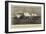 The Bombardment of Matanzas Forts by the United States Cruisers-null-Framed Giclee Print